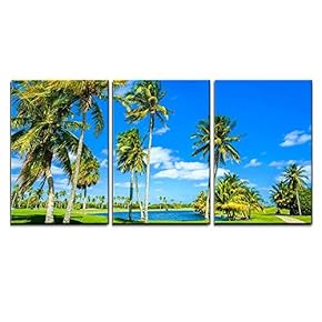 3 Piece Canvas Wall Art - Beautiful Golf Course Landscape in Miami. - Modern Home Art Stretched and Framed Ready to Hang - 16"x24"x3 Panels