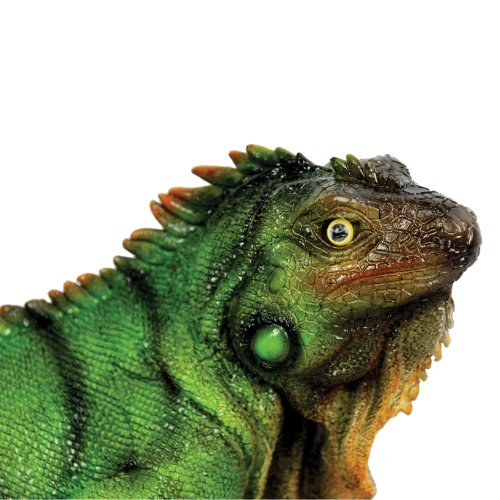 Michael Carr Designs 80059 Iguana Outdoor Statue, Medium