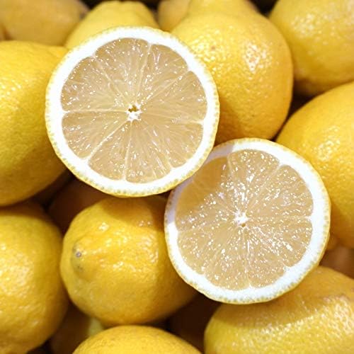 瀬戸内レモン 秀品 A品 3kg 広島産 広島レモン通販 ノーワックス お気にいる 防腐剤防カビ剤不使用 皮も綺麗で安心していただける国産れもん