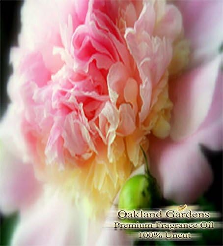 PEONY Fragrance Oil - 100% Premium Grade Uncut Oil - Gentle sweeps of peony are the first to bloom in this delightful bouquet. Pure elegance with strong, clean smell - BULK Frangrance Oil By Oakland Gardens (240 mL - 8.0 fl oz Bottle)