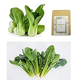 1100+ Baby Bok Choy Seeds & 500+ Spinach Seeds for Planting, Non-GMO Organic Heirloom Delicious Vegetable Seeds