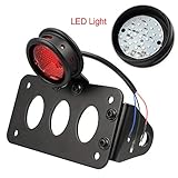 Amazicha LED License Plate Holder Stop Running Tail Lights Taillight Side Mount for Harley Motorcycle Bobber Chopper