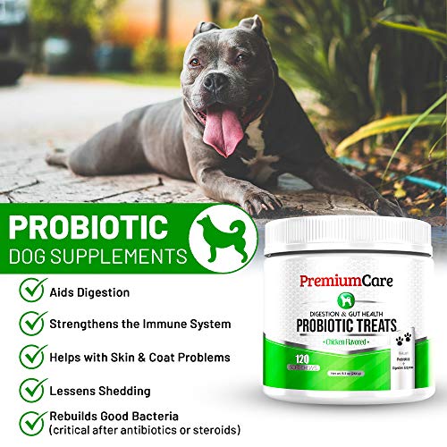 image for PREMIUM CARE Probiotics For Dogs - Advanced Dog Probiotics + Digestive