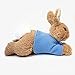 GUND Classic Peter Rabbit Running Plush, 8