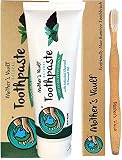 Aliceva Teeth Whitening Pen - Natural & Safe Tooth Whitener Treatment with Active Oxygen & 35% Carbamide Peroxide Gel - Mint Flavor