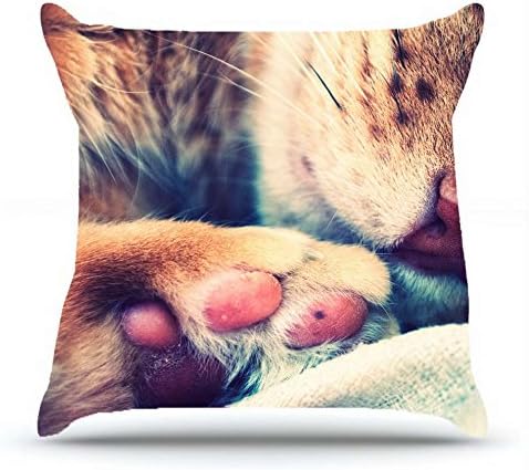 Square 18 X 18 Inches Cotton Pillowcases Decorative Pillow Cover Case with Hidden Zipper Decor Cushion Covers - Animals cat cat paw leg sleeps for sofa