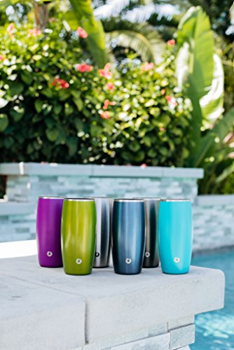 SNOWFOX B10017-07 Insulated Stainless Steel Beer Glass (Set of 2), Olive Grey