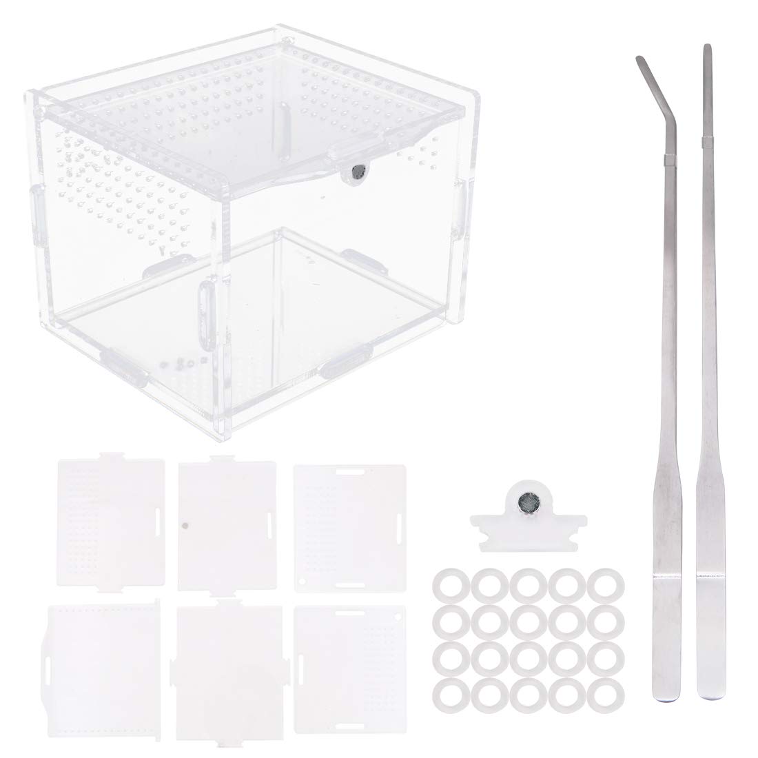 Acrylic Reptile Feeding Box 10x8x7cm Transparent Glass Breeding Box Terrarium with 2 Pcs Straight and Curved Tweezers for Pet Insect Spider Crickets Snails