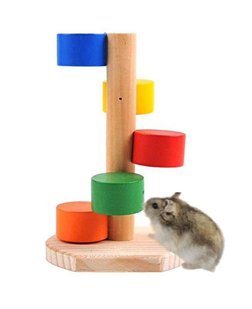 Best Hamster Ladder And Platform