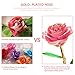 GRECEDAY Love Forever Long Stem Gold Foil Trim Red Rose Flower with Transparent Stand, Best Gift for Valentines Day, Mothers Day, Anniversary, Birthday Gift, Treating Yourself, Galentine's Day (Pink)