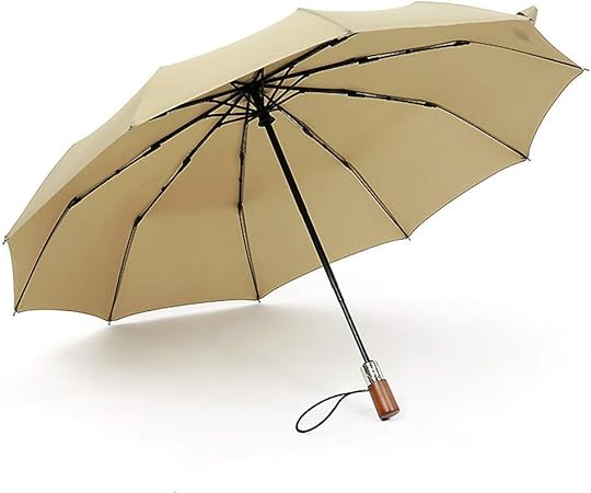 strong umbrella wind resistant amazon