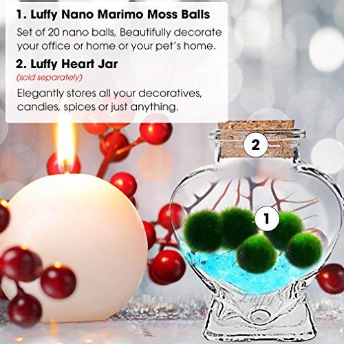 Luffy 20 Nano Marimo Moss Balls by Naturally Round and Vibrant Green 0.4" Living Aquatic Plants - Long Lasting and Easy to Care for - Perfect as a First Pet or DIY Home Decoration
