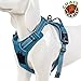 Chai's Choice Dog Harness Vest Small (Teal Blue) | Comfortable & Secure with Adjustable Strap Soft Padded Dog Vest | No-Choke & Easy Control Pet Oxford | 3M Reflective Stripes for Dog Visibility