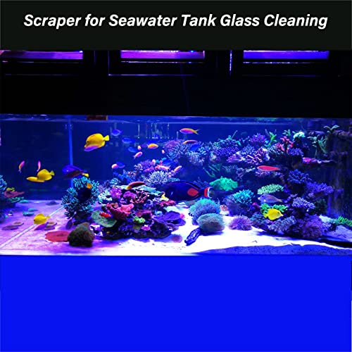 SWETOR Algae Scraper for Glass Aquarium,Fish Tank Scraper with 10