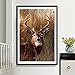RunFar DIY 5D Diamond Painting Embroidery Cross Stitch Craft Diamond Painting by Number Kits,Sika Deer Pattern,Home Decor Gift 30x40cm