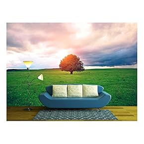 Single Oak Tree in Field Under Magical Sunny Sky - Removable Wall Mural | Self-Adhesive Large Wallpaper - 66x96 inches