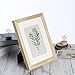 ENGLANT 8x10 Picture Frame Wood Photo Frame for Pictures 5x7 with Mat or 8x10 Without Mat Natural Color