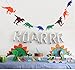 Dinosaurs Banner Decorations for Children's Kid's Birthday Party
