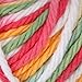 Lily Original Ombre Yarn, 2 oz, Mango Madness