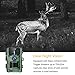 TOGUARD Trail Camera 14MP 1080P Game Hunting Cameras with Night Vision Waterproof 2.4
