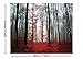 Forest Decor Tapestry By JAWO Horror Gothic Red Forest Wall Art Hanging for Bedroom Living Room Dorm 71X60Inches Wall Blankets