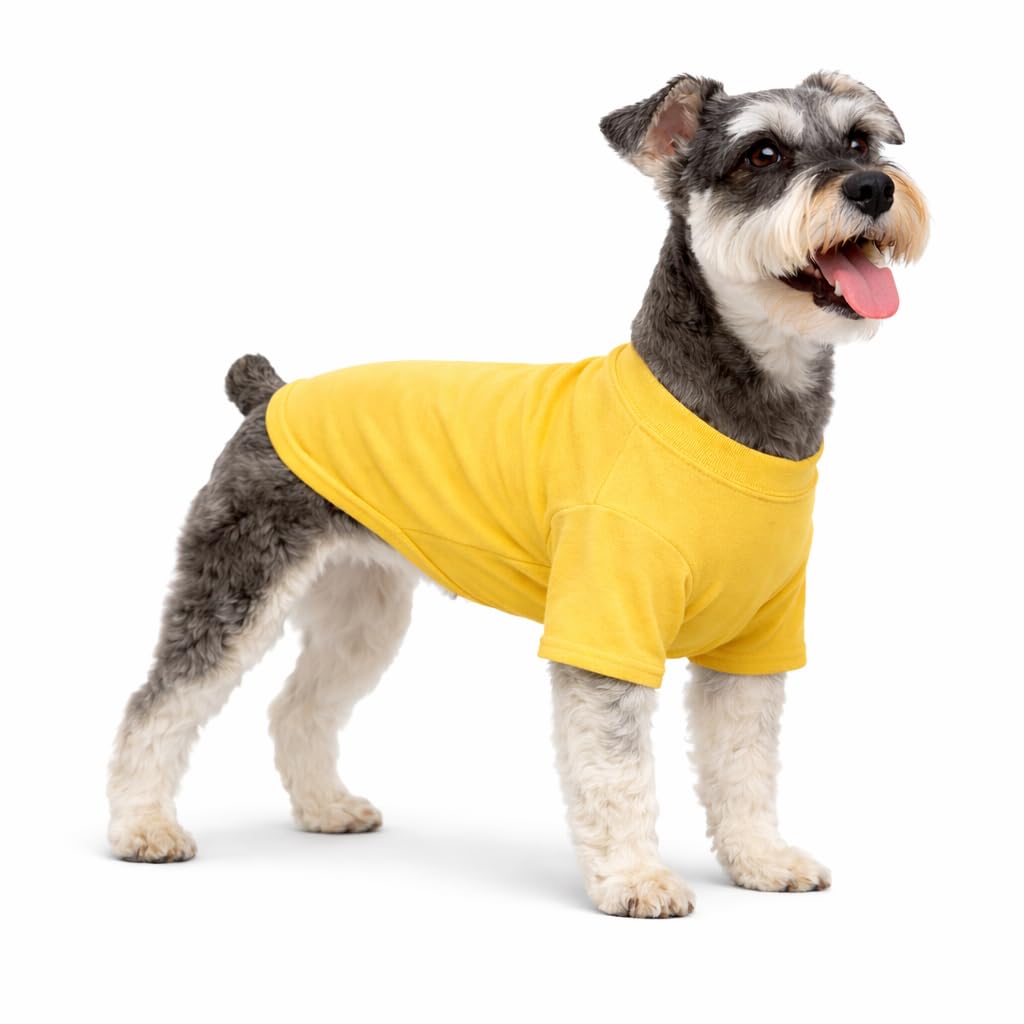 Lovelonglong Pet Clothing Dog Costumes Basic Blank T-Shirt Tee Shirts for Medium Small Dogs Yellow XL