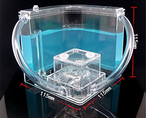 BleuMoo Advanced Ant Nursery Farm Maze Blue Gel Live Ant Habitat With Feeding