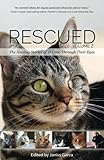 Rescued Volume 2: The Healing Stories of 12 Cats, Through Their Eyes by Catherine Holm, Camille May