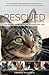 Rescued Volume 2: The Healing Stories of 12 Cats, Through Their Eyes by Catherine Holm, Camille May