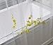 UFRIDAY Shower Curtain Liner, Semi Transparent Shower Curtain for Bathroom, Weightd Bottom with Magnets, Stall Size 36 x 72 inch