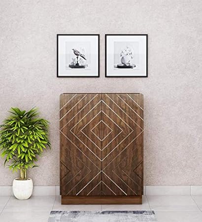 Parin Homes Square Design 2 Door Shoe Rack Brown Amazon In