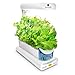 AeroGarden Sprout with Gourmet Herb Seed Pod Kit, White