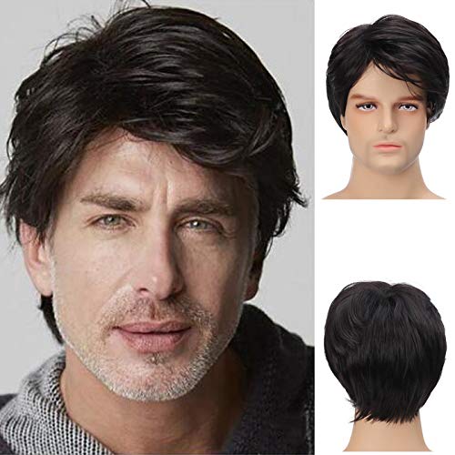 Mens Black Wig Short Layered Male Wig Synthetic Hair Wigs Heat Resistant Cosplay