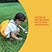 Kids Camping Gear-Outdoor explorer kit for kids Learning Set for Boys/Girls Age 2 3 4 5 6 7 & 8 Adventure Gifts- kids explorer kit, Binoculars, Headlamp, Flashlight, Compass, Magnifying Glass, Whistle