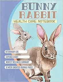 rabbit health