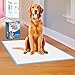 Four Paws Wee-Wee Superior Performance Unscented Extra-Large Pee Pads for Dogs & Puppies, Quilted Leak-Proof Dog Housebreaking Potty Training Floor Protection, 28