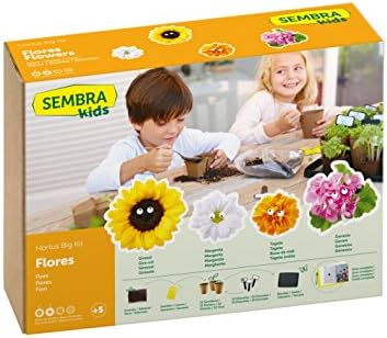 SEMBRA - juego educativo, Kit huerto Flores: Amazon.es: Jardín