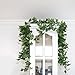 Yebazy 5 Pack (40 Foot) Big Atificial Ivy Leaves Fake Ivy Greenery garlands Hanging Plant Wedding Party Garden Outdoor Home Decor