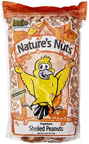 Nature's Nuts Premium Shelled Peanuts - 5 lb.