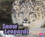 Snow Leopard Facts for Kids