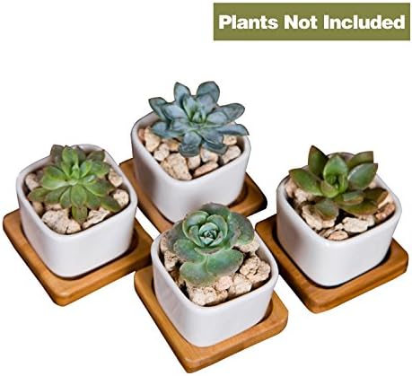 JDWNF 2 Inch Super Mini/Cute Square Succulent Plants Pots,White Plant Pot for Home Office Window Boxes (Pack of 4)