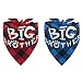 2 PCS Plaid Dog Bandana with Big Brother Printing Reversible Triangle Bibs Scarf Accessories for Dogs Cats Red & Blue