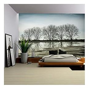Tree Reflection in a Pond, Vancouver Bc Canada - Removable Wall Mural | Self-Adhesive Large Wallpaper - 66x96 inches