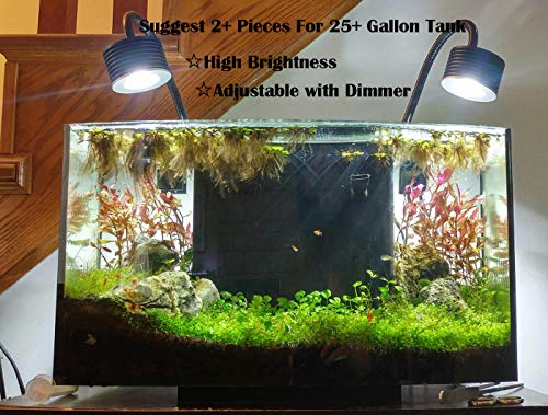 LED Aquarium Lighting Nano Fish Tank Light for Saltwater Freshwater Planted Tank Coral Reef (Freshwater Asta 20)