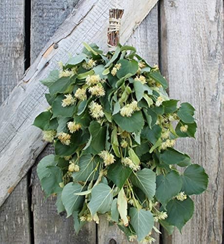 Linden Sauna Whisk Broom Venik Season 2020 SaunaGoods Organic Massage ...