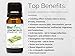 BioFinest Lemongrass Oil - 100% Pure Lemongrass Essential Oil - Therapeutic Grade - Premium Quality - Best For Aromatherapy & Massage, Anxiety & Stress Relief - FREE E-Book (10ml)