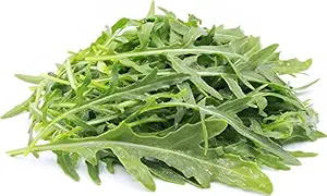 Wild Rocket Arugula Seeds,1000 Heirloom Seeds Per Packet, Non GMO Seeds, Botanical Name: Eruca vesicaria SSP. Sativa, Isla's Garden Seeds