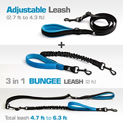 SparklyPets Adjustable Leash and 3 in 1 Shock-Absorbing Bungee Extension Set - Heavy Duty Dog Leash for Medium and Large Breeds Made from Durable Nylon - Reduces Pulling Shocks and Prevents Injuries