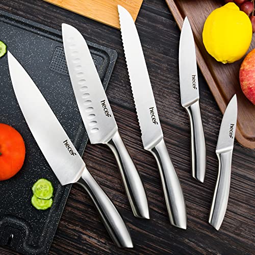 hecef Professional Kitchen Knives Set, All Stainless Steel Silver, Chef's Knife, 5 Pieces Kitchen Knife and 5 Pieces Knife Liners