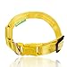ILLUMISEEN LED Dog Collar USB Rechargeable - Bright & High Visibility Lighted Glow Collar for Pet Night Walking - Weatherproof, in 6 Colors & 6 Sizes (Yellow Large)